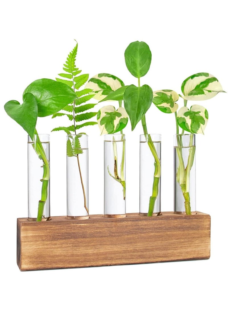 Relex Desktop Glass Plant Propagation Station 5 Test Tube Plant Terrarium in Wooden Stand for Hydroponic Plants Cutting Office Home Decoration - Image 1