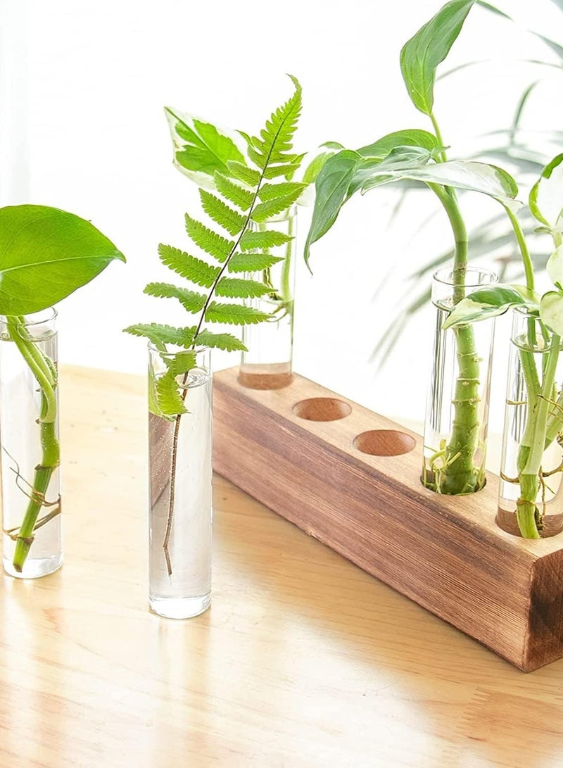 Relex Desktop Glass Plant Propagation Station 5 Test Tube Plant Terrarium in Wooden Stand for Hydroponic Plants Cutting Office Home Decoration - Image 2