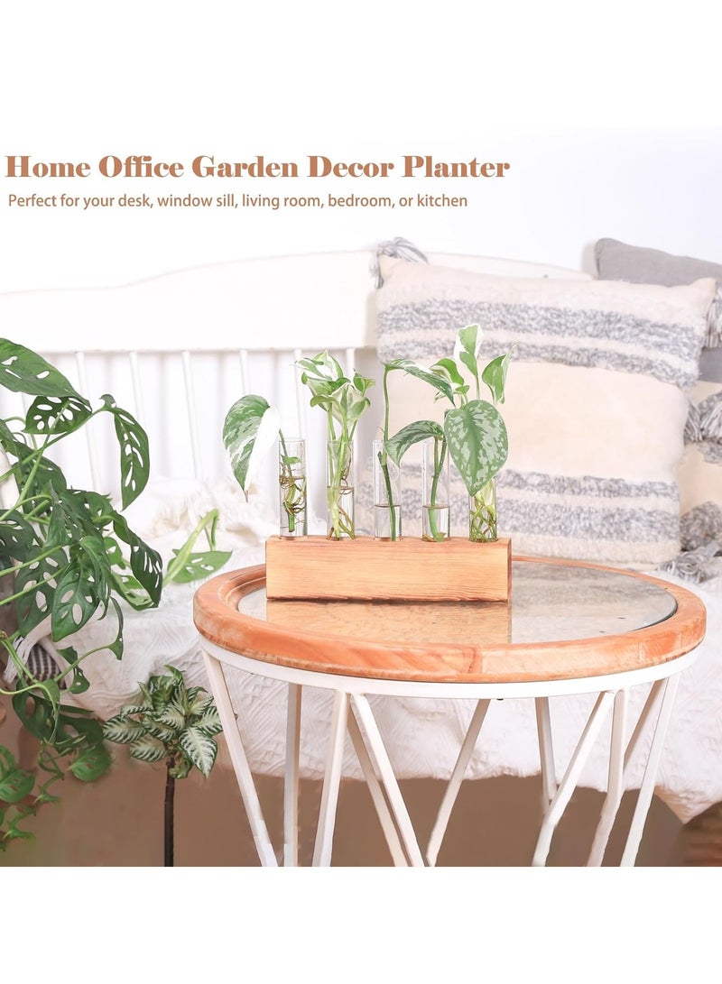 Relex Desktop Glass Plant Propagation Station 5 Test Tube Plant Terrarium in Wooden Stand for Hydroponic Plants Cutting Office Home Decoration - Image 4