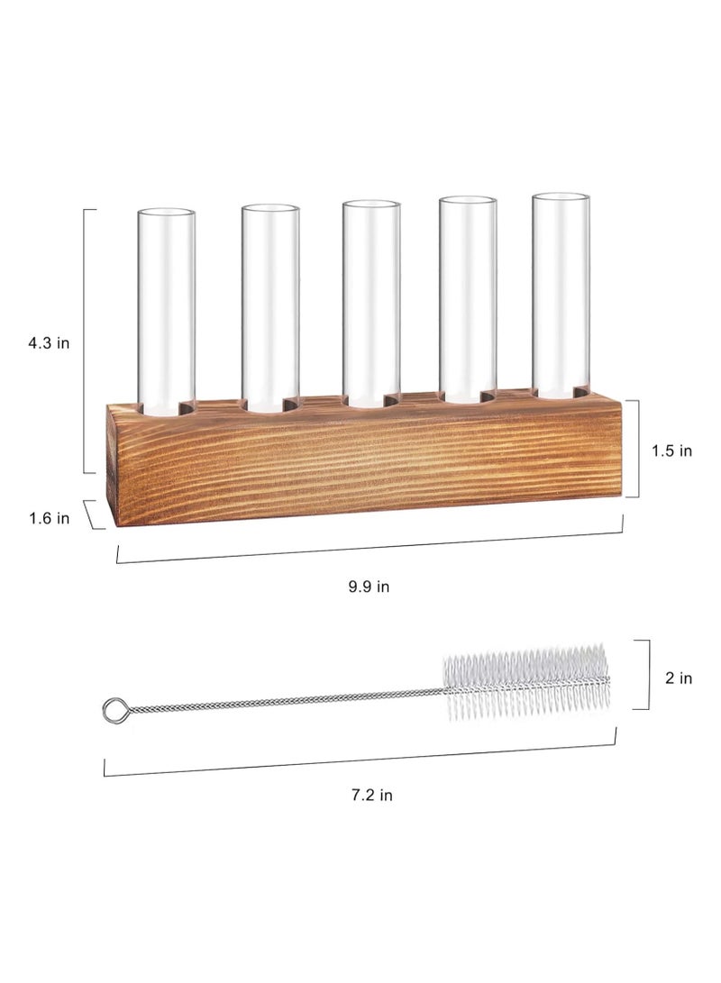 Relex Desktop Glass Plant Propagation Station 5 Test Tube Plant Terrarium in Wooden Stand for Hydroponic Plants Cutting Office Home Decoration - Image 5