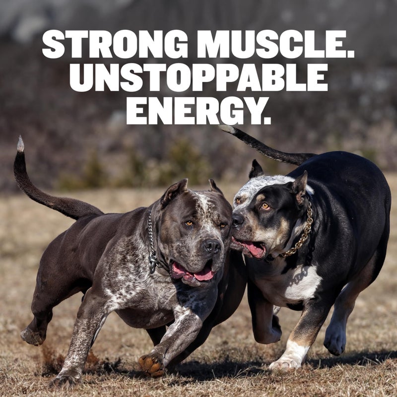 Bully Max Dry Dog Food for Adults & Puppies - High Protein & Fat for Muscle & Weight Gain - High Performance Dog Food Supplements - Small & Large Breed Dogs (530 Calories Per Cup), Beef, 15lb Bag - Image 2