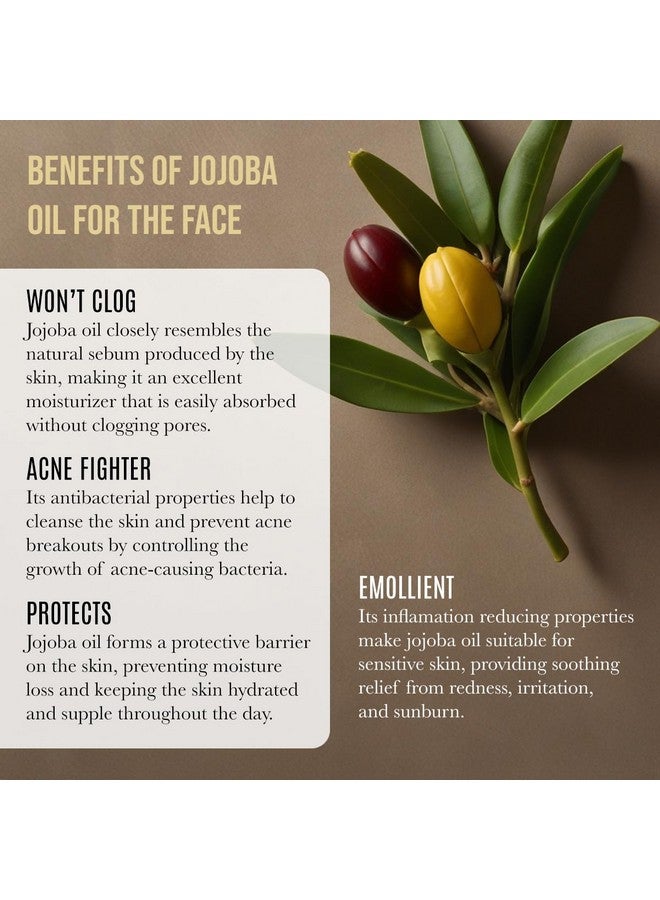 Renewalize ORGANIC JOJOBA OIL - Cold Pressed, Unrefined in 4 oz Dark Glass Bottle with Dropper | An essential daily or night time moisturizer for face, skin, nails, lips, beard & hair - Image 4