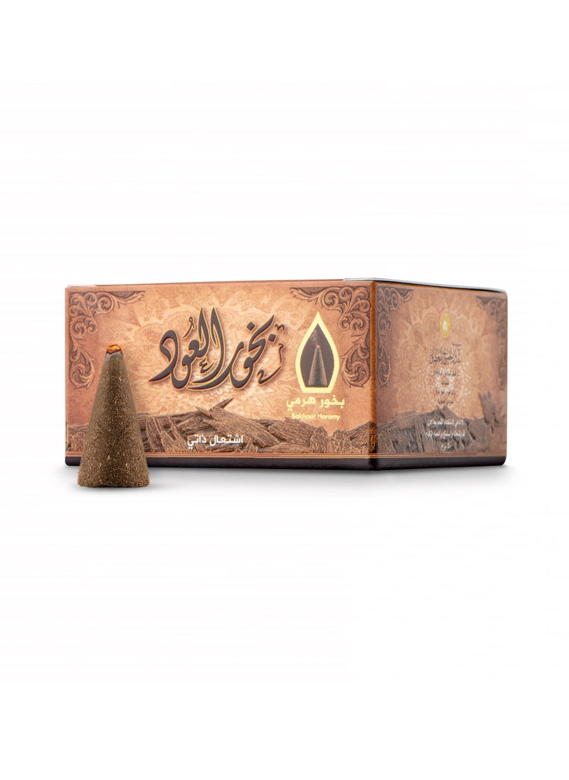 سدر الخليج بخور هرمي العود 50 جرام  - Image 1