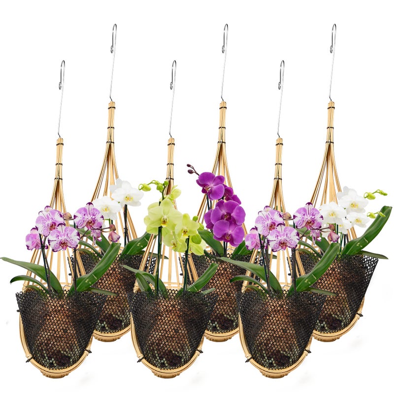 lanccona Orchid Hanging Planter 5 Inch 6 Pack with Bird Nest Style Plant Hangers Handmade Thai Bamboo Woven Hanging Orchid Basket for Trellis Gazebo Indoor Outdoor
