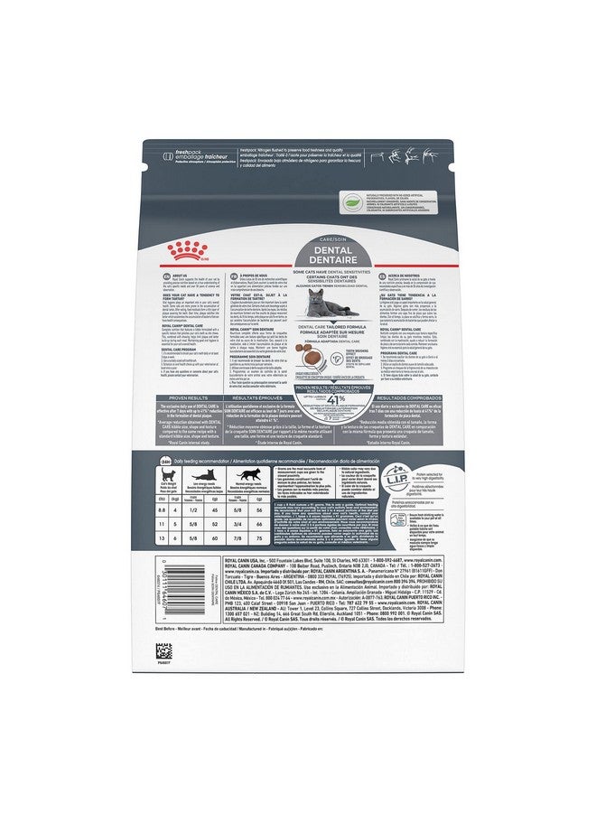 رويال كانين طعام القطط الجاف رويال كانين للعناية بالقطط من نيوتريشن للعناية بالأسنان، كيس 6 أرطال - Image 2