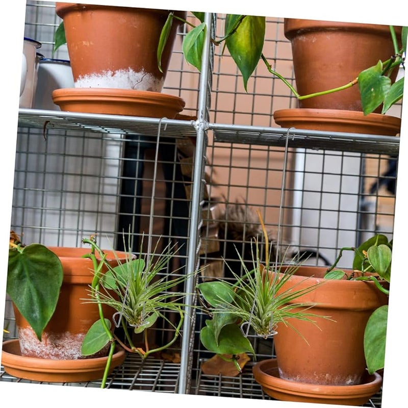 VICASKY 3pcs Stainless Steel Air Plant Holders Hanging Hooks for Home Office Garden Wedding Decor - Image 3