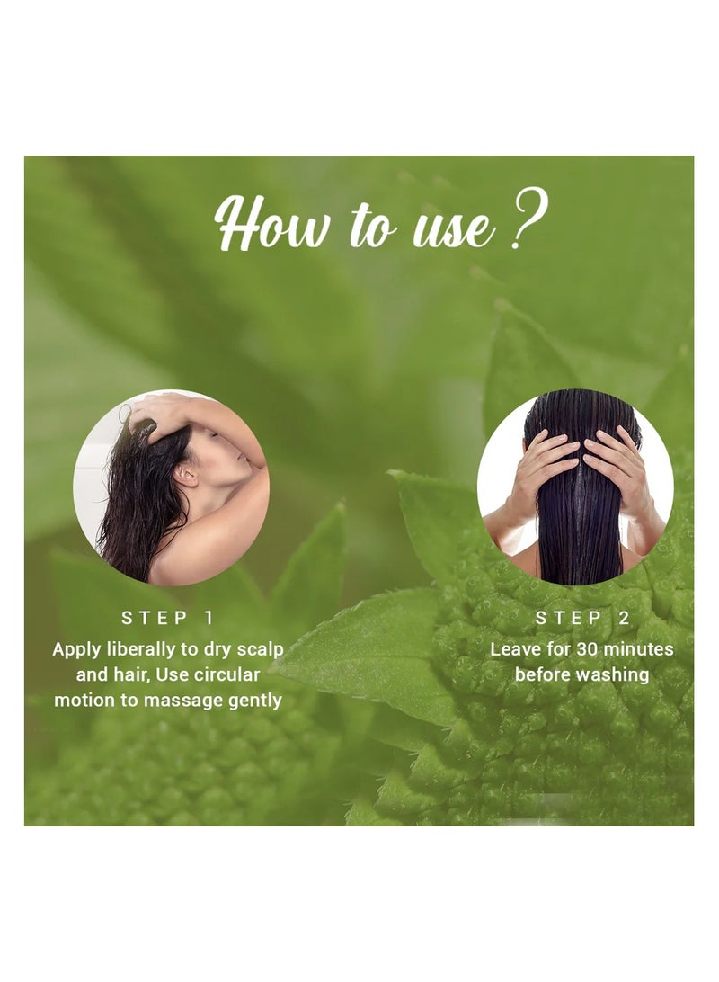 Biotique زيت الشعر العلاجي المضاد لتساقط الشعر بهرينغراج 120 مل - Image 4