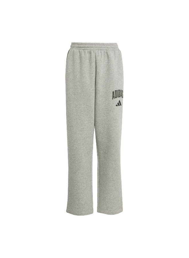 Adidas Adidas J Clgt Fl Pnt Grey Pants (1/1) Pants For Kids - Image 1