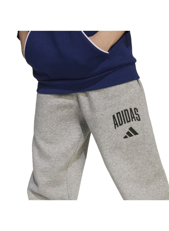 Adidas Adidas J Clgt Fl Pnt Grey Pants (1/1) Pants For Kids - Image 5