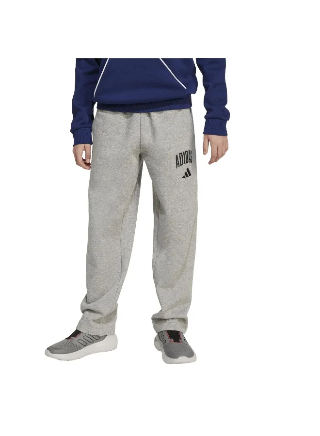 adidas Adidas J Clgt Fl Pnt Grey Pants (1/1) Pants For Kids