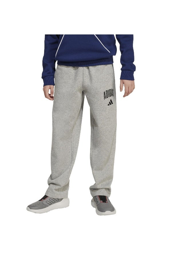 Adidas Adidas J Clgt Fl Pnt Grey Pants (1/1) Pants For Kids - Image 2