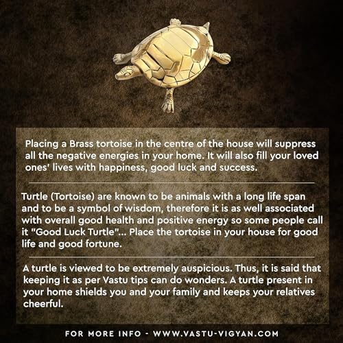 TREE MAISON CORONATING HOMES Brass Vaastu Tortoise | Turtle | Weight - 1120 Gram Approx | Size - 22 x 12 cm | Feng Shui | Vastu Shastra Remedies | Turtle for Good Luck | Pack of 1 - Image 3