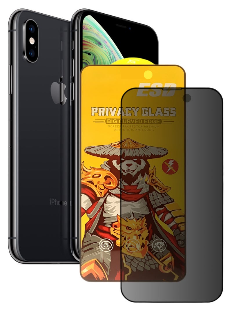 ESD Tempered Dustproof Privacy Glass Screen Protector Compatible For iPhone XS Max - Image 1