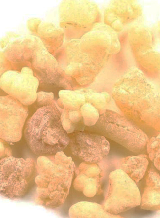 فرونتير لبان الذكر بيج 453جرام - Image 2