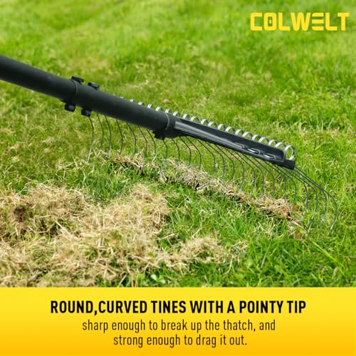 Colwelt Thatch Rake, Dethatcher Rake with Thin, Curved Spring Steel Tines, Dethatching Thatching Rake for Lawns with 61’’ Steel Handle, Lawn Tine Rakes for Pine Needles, Dead Grass, Garden Debris - Image 3