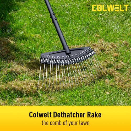Colwelt Thatch Rake, Dethatcher Rake with Thin, Curved Spring Steel Tines, Dethatching Thatching Rake for Lawns with 61’’ Steel Handle, Lawn Tine Rakes for Pine Needles, Dead Grass, Garden Debris - Image 4