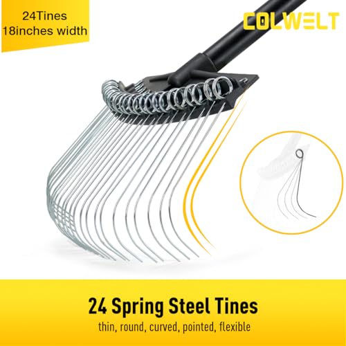 Colwelt Thatch Rake, Dethatcher Rake with Thin, Curved Spring Steel Tines, Dethatching Thatching Rake for Lawns with 61’’ Steel Handle, Lawn Tine Rakes for Pine Needles, Dead Grass, Garden Debris - Image 2
