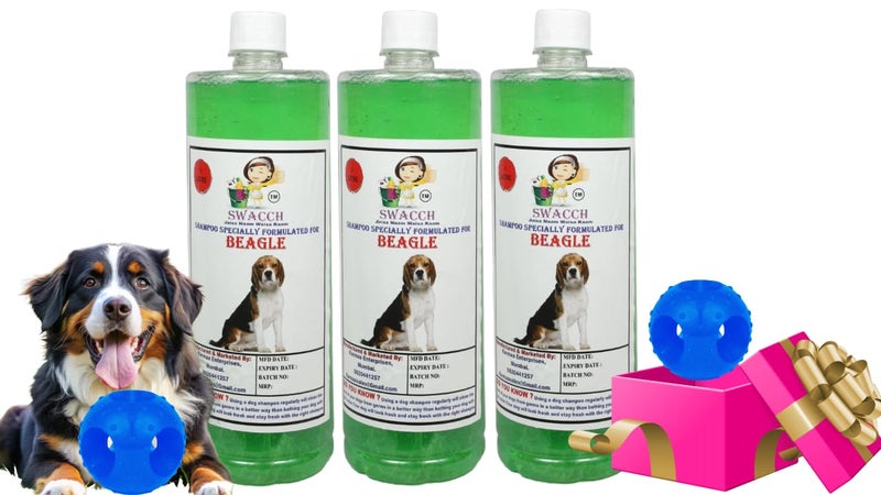 swacch Pet Shampoo | Puppy Safe Shampoo | PH Balanced | Ditch to Itch for Beagle Dog Shampoo 3 Litre (Neem Alovera) + Goofy Ball Chew Toy Combo Pack - Image 1
