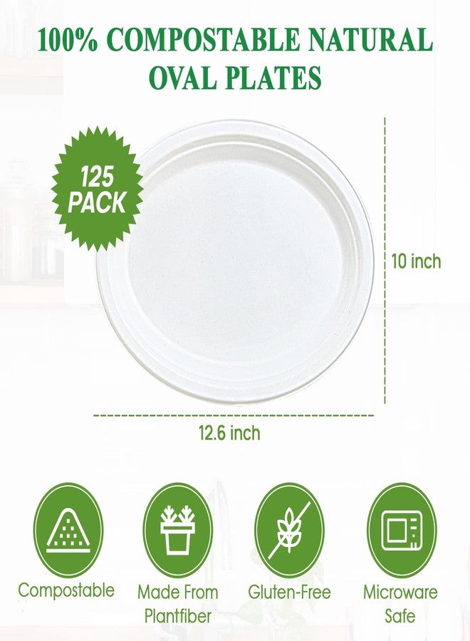 Vplus 100% Compostable Oval Paper Plates 12 inch 125 Pack Super Strong Disposable Paper Plates Bagasse Natural Biodegradable Eco-Friendly Sugarcane for BBQ, Party, Dinner, and Picnic - Image 5