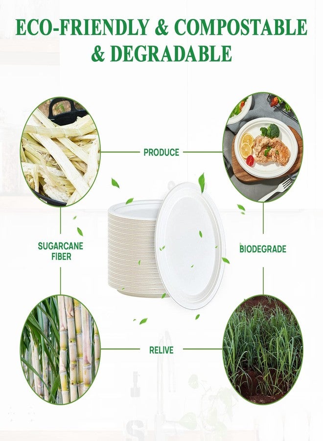 Vplus 100% Compostable Oval Paper Plates 12 inch 125 Pack Super Strong Disposable Paper Plates Bagasse Natural Biodegradable Eco-Friendly Sugarcane for BBQ, Party, Dinner, and Picnic - Image 3