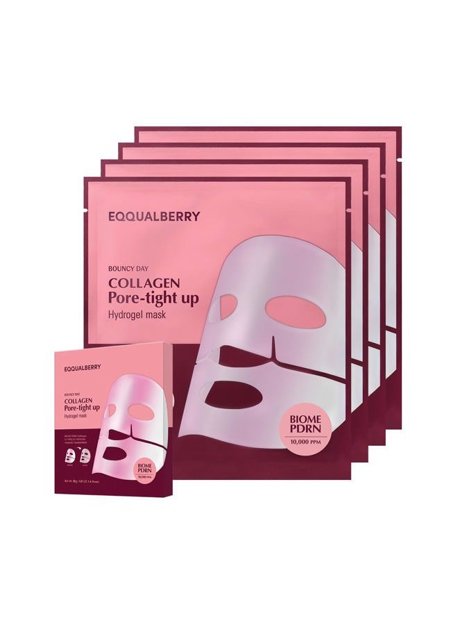 eqqualberry قناع كولاجين لتضييق المسام - PDRN وكولاجين منخفض الجزيئات لتقليل المسام وشد البشرة | قناع وجه كوري من الكولاجين لبشرة زجاجية، 4 أوراق، 1.01 أونصة. - Image 1