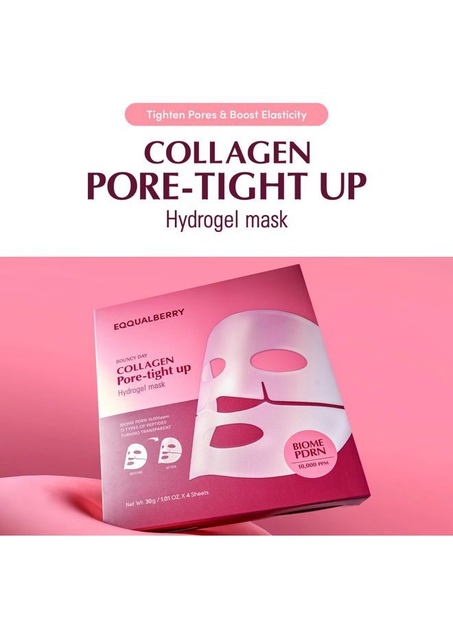 eqqualberry قناع كولاجين لتضييق المسام - PDRN وكولاجين منخفض الجزيئات لتقليل المسام وشد البشرة | قناع وجه كوري من الكولاجين لبشرة زجاجية، 4 أوراق، 1.01 أونصة. - Image 2