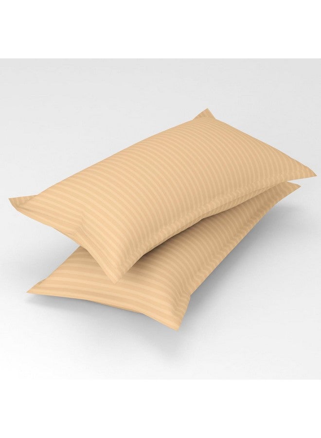 Homefab India 160 TC Stripe Glace Cotton Double BedSheet with 2 Pillow Covers - (90x90 inches) - Peach - Image 4