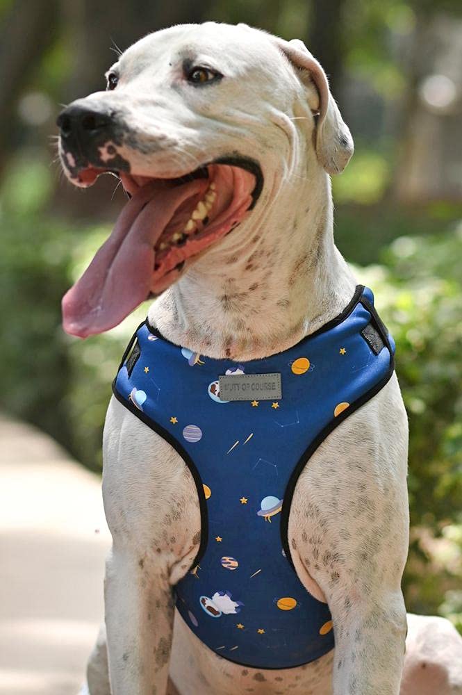 Mutt of Course Elon Mutt Dog Harness (XL) - Image 1