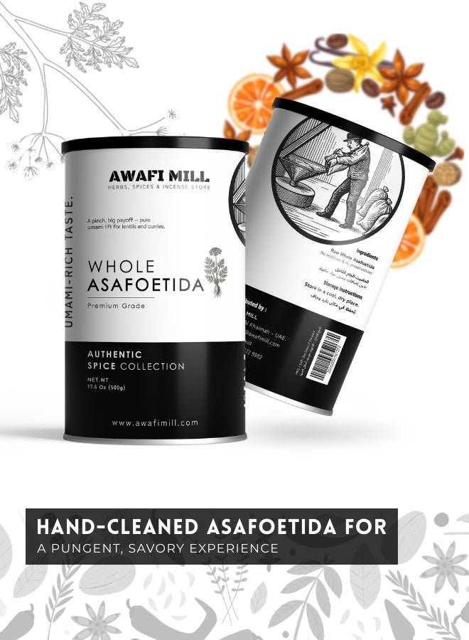 أباميك مسحوق الحلتيت من أوافي ميل - حلتيت كامل (دموع راتنج الحلتيت) | حلتيت فائق الفعالية للتتبيل/التقلية، والعدس، والسامبار، والراسام، والمخللات، والشات، والباراثا، ومزيج التوابل - 500 غرام | 17.6 أونصة - Image 5