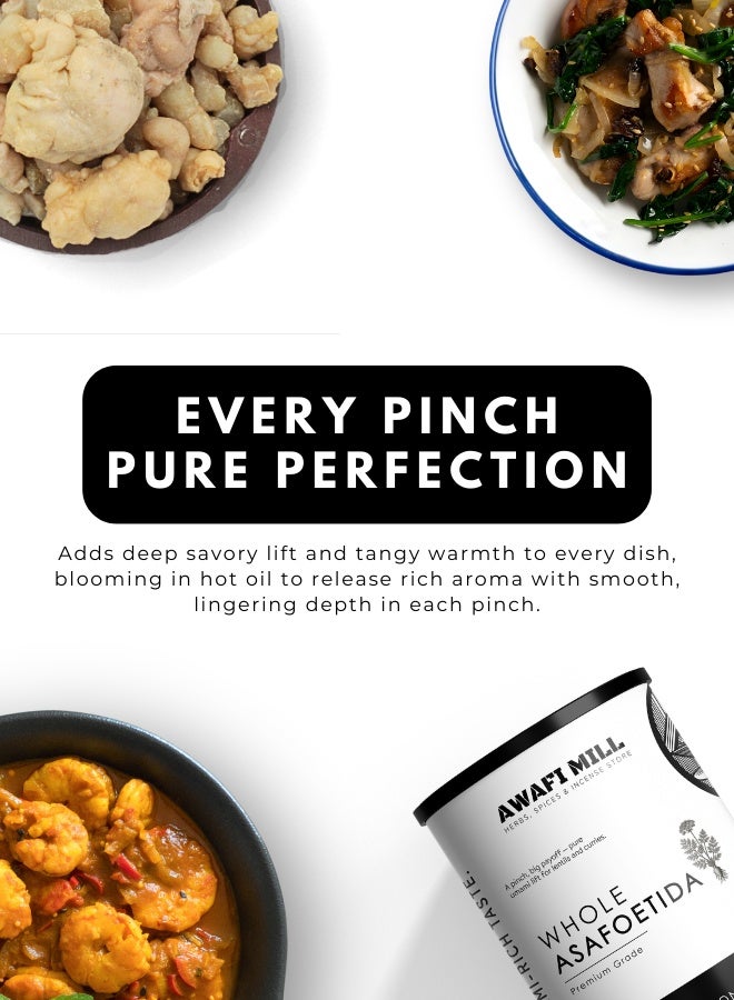 أباميك مسحوق الحلتيت من أوافي ميل - حلتيت كامل (دموع راتنج الحلتيت) | حلتيت فائق الفعالية للتتبيل/التقلية، والعدس، والسامبار، والراسام، والمخللات، والشات، والباراثا، ومزيج التوابل - 500 غرام | 17.6 أونصة - Image 4