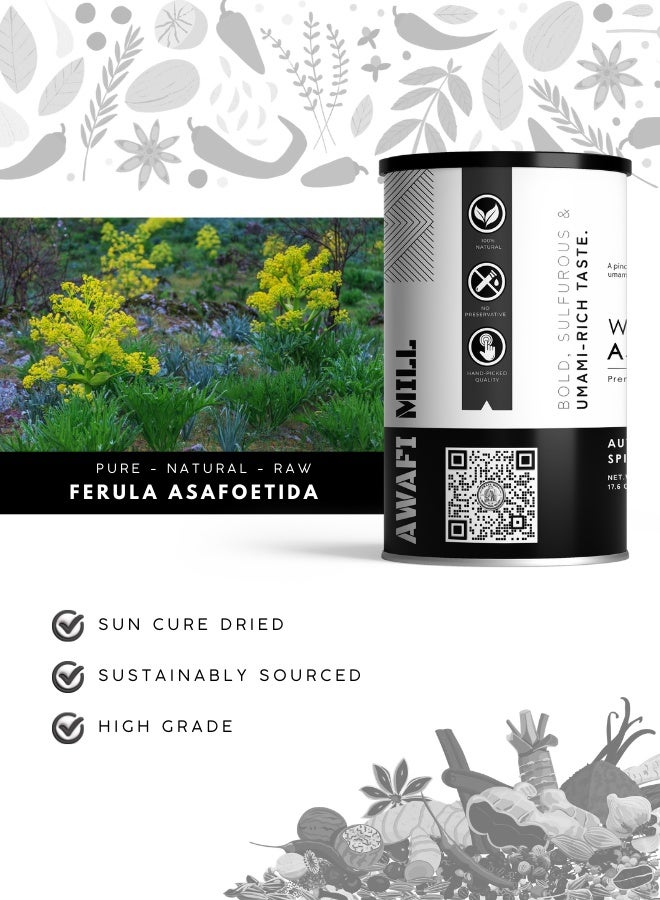 أباميك مسحوق الحلتيت من أوافي ميل - حلتيت كامل (دموع راتنج الحلتيت) | حلتيت فائق الفعالية للتتبيل/التقلية، والعدس، والسامبار، والراسام، والمخللات، والشات، والباراثا، ومزيج التوابل - 500 غرام | 17.6 أونصة - Image 3