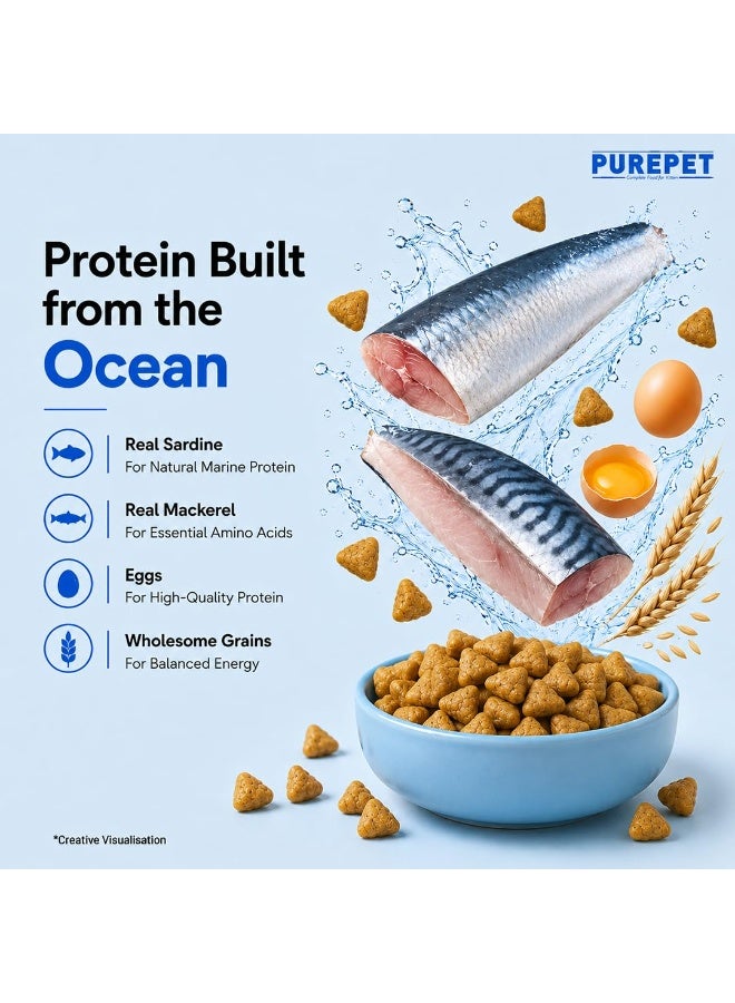 Purepet Kitten Dry Cat Food 1.2kg | Ocean Fish Flavour & Dry Cat Food 1kg | Ocean Fish Flavour - Image 3