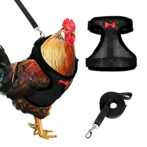 Adhafera Chicken Harness with Leash, Upgraded Double Adjustment Chicken Harness and Leash Set for Hens, Duck, Goose, Small Pet (Black, L) - Image 1