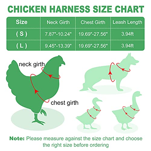 Adhafera Chicken Harness with Leash, Upgraded Double Adjustment Chicken Harness and Leash Set for Hens, Duck, Goose, Small Pet (Black, L) - Image 5