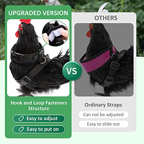 Adhafera Chicken Harness with Leash, Upgraded Double Adjustment Chicken Harness and Leash Set for Hens, Duck, Goose, Small Pet (Black, L) - Image 2