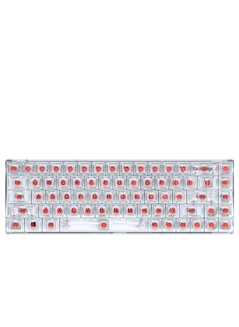 T-WOLF - Transparent Gaming Keyboard,68 Keys USB Wired Mechanical Keyboard with Transparent PBT Keycaps and RGB Side Light for Office Gaming,Suitable for PC/Ps4/Xbox Gamers,Red Switch - Image 1