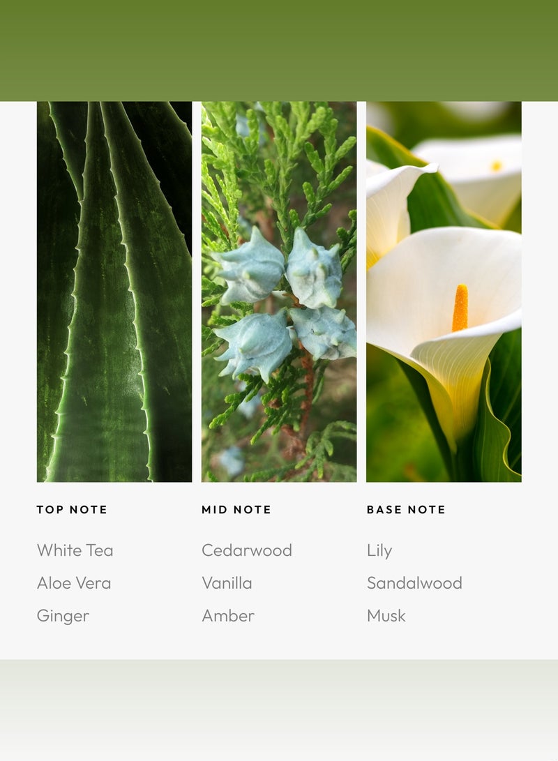 AROMA360 Dream On Pro-Pod Oil Blend - Hotel Inspired for Luxury Essential Oil Diffusers - Aromatherapy Scent Diffuser Oil - White Tea, Aloe Vera, and Lily  - Image 4