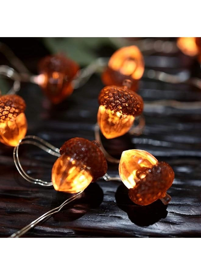 erorex - Decorative Fairy Acorn String Lights Thanksgiving Decoration Autumn Garland Cute Novelty Lights 30 Leds 10 Ft Battery Operated For Bedroom Wedding Birthday Harvest Decor - Image 1
