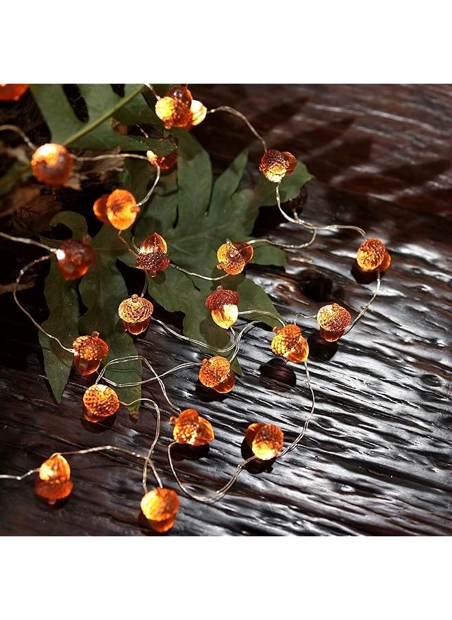 erorex - Decorative Fairy Acorn String Lights Thanksgiving Decoration Autumn Garland Cute Novelty Lights 30 Leds 10 Ft Battery Operated For Bedroom Wedding Birthday Harvest Decor - Image 1