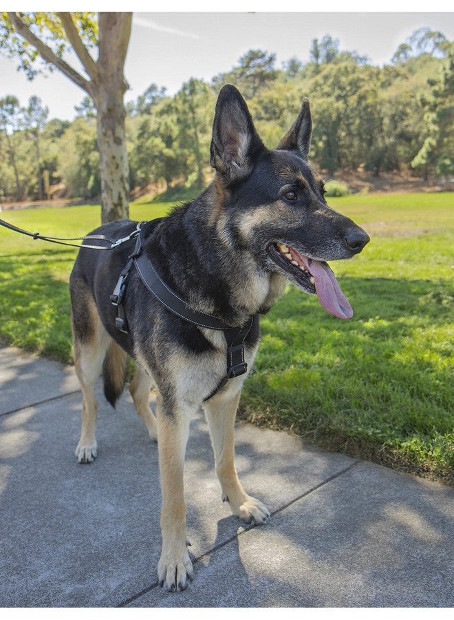 Sherpa Dog Harness, Built-in Quick Grab Handle, Padded - Black, Extra Large - Image 4