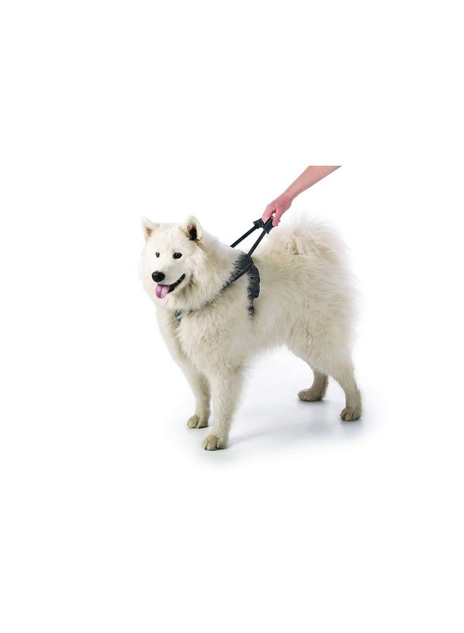 Sherpa Dog Harness, Built-in Quick Grab Handle, Padded - Black, Extra Large - Image 3