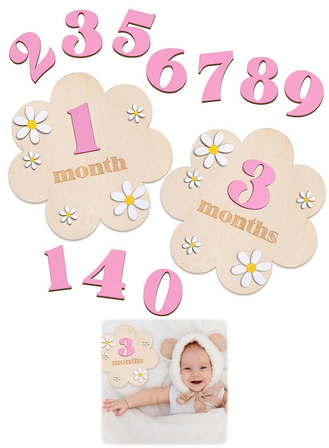 Pink 3D Wooden Daisy Baby Monthly Milestone Discs, 1-12 Months Interchangeable Milestone Sign for Newborn Photo Props Baby Shower Gift - Image 1