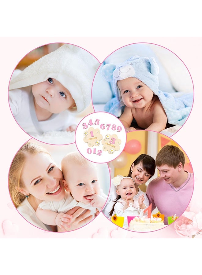 Pink 3D Wooden Daisy Baby Monthly Milestone Discs, 1-12 Months Interchangeable Milestone Sign for Newborn Photo Props Baby Shower Gift - Image 5