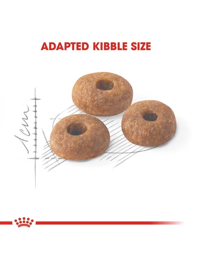 ROYAL CANIN Regular Fit 32 Food For Cat Brown 2kg - Image 2