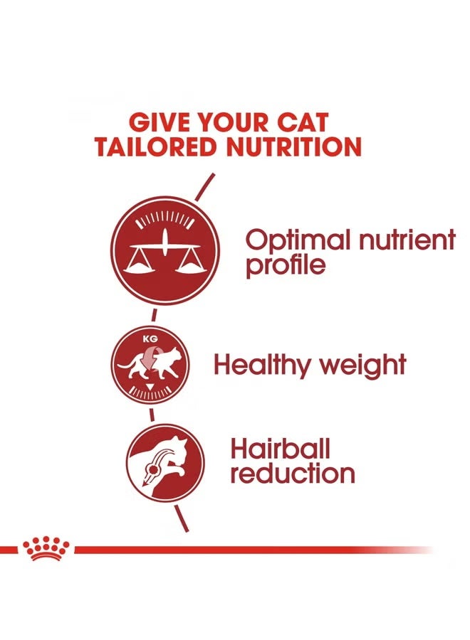 ROYAL CANIN Regular Fit 32 Food For Cat Brown 2kg - Image 3
