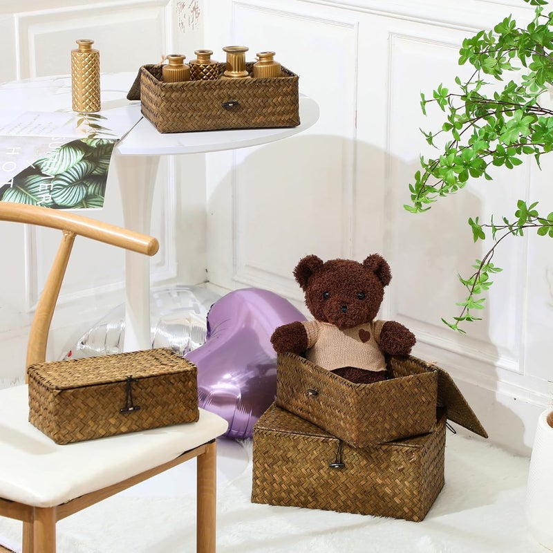 Woanger Set of 4 Rectangular Seagrass Storage Baskets with Lids in Brown, White Finish - Rustic Style for Office, Nursery Decoration and Storage - Image 3