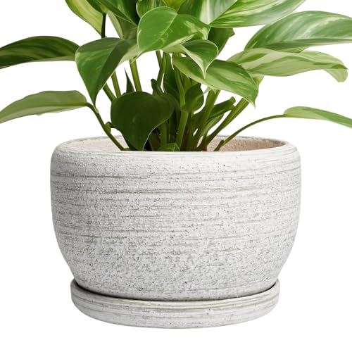 SQOWL Ceramic Plant Pots - 8 inch Planter for Indoor Plants, Round Flower Pot with Drainage Hole and Plant Saucer, Modern Decorative Ceramic Planter Outdoor, Home Room Decor, Garden Gifts, Gray - Image 1