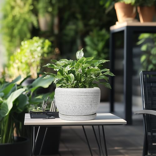 SQOWL Ceramic Plant Pots - 8 inch Planter for Indoor Plants, Round Flower Pot with Drainage Hole and Plant Saucer, Modern Decorative Ceramic Planter Outdoor, Home Room Decor, Garden Gifts, Gray - Image 5