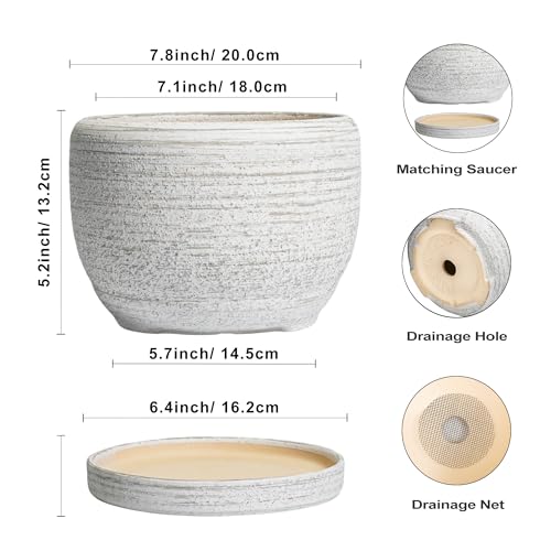 SQOWL Ceramic Plant Pots - 8 inch Planter for Indoor Plants, Round Flower Pot with Drainage Hole and Plant Saucer, Modern Decorative Ceramic Planter Outdoor, Home Room Decor, Garden Gifts, Gray - Image 3