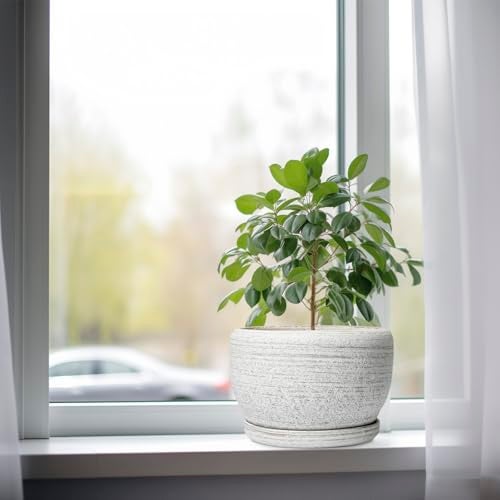 SQOWL Ceramic Plant Pots - 8 inch Planter for Indoor Plants, Round Flower Pot with Drainage Hole and Plant Saucer, Modern Decorative Ceramic Planter Outdoor, Home Room Decor, Garden Gifts, Gray - Image 4